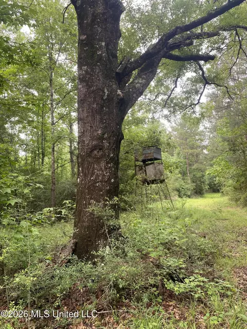 tbd NE 48 Ne S Of St #48, Gloster, MS 39638