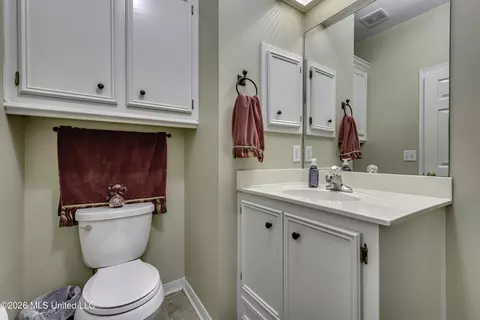 Bath - 138 Chestnut Dr, Brandon, MS 39047 photo 4 of 4