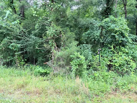 0 Parsons Rd, Raymond, MS 39154 photo 2