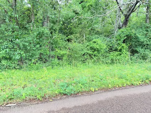 0 Parsons Rd, Raymond, MS 39154 photo 5