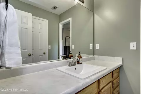 Bath - 441 Mockingbird Cir, Brandon, MS 39047 photo 6 of 6