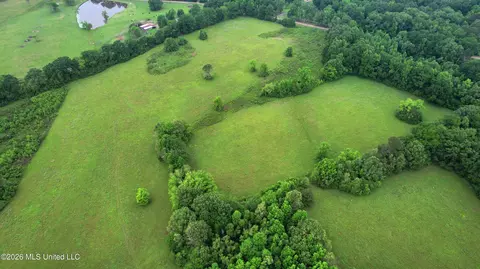 0 Tom Collins Rd, Utica, MS 39175 photo 4