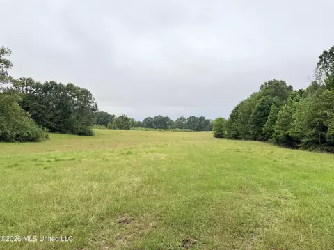 0 Tom Collins Rd, Utica, MS 39175 photo 11