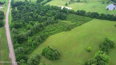 0 Tom Collins Rd, Utica, MS 39175 photo 3