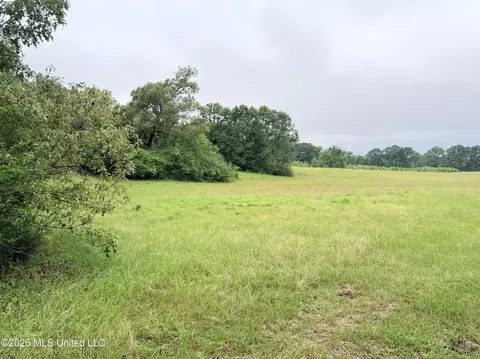 0 Tom Collins Rd, Utica, MS 39175 photo 10