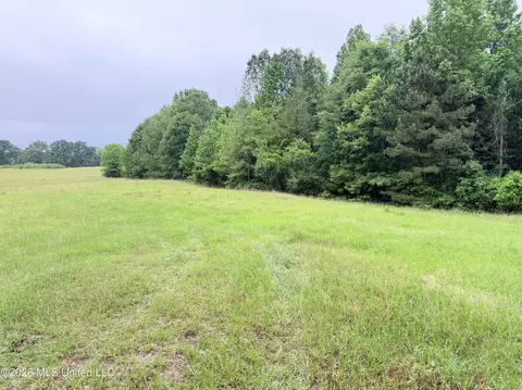 0 Tom Collins Rd, Utica, MS 39175 photo 9
