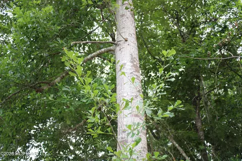 N 15th Street, Ocean Springs, MS 39564