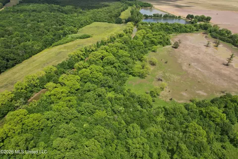 Jenkins Road, Alligator, MS 38720 photo 9