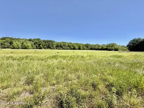 Jenkins Road, Alligator, MS 38720 photo 35