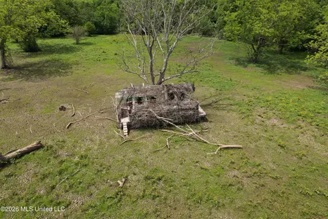 Jenkins Road, Alligator, MS 38720 photo 5