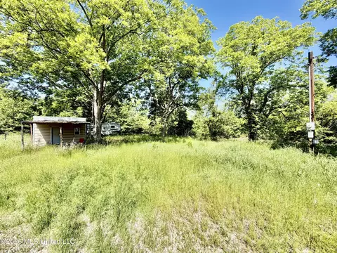 Jenkins Road, Alligator, MS 38720 photo 26