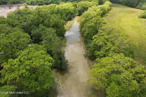 Jenkins Road, Alligator, MS 38720 photo 16