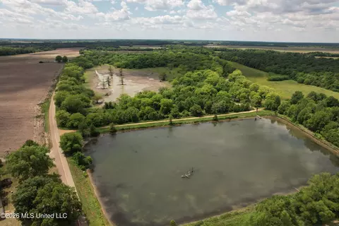 Jenkins Road, Alligator, MS 38720 photo 3