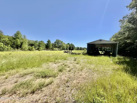 Jenkins Road, Alligator, MS 38720 photo 30