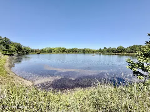 Jenkins Road, Alligator, MS 38720 photo 28