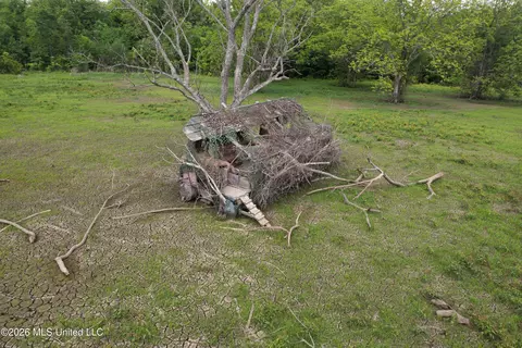 Jenkins Road, Alligator, MS 38720 photo 20