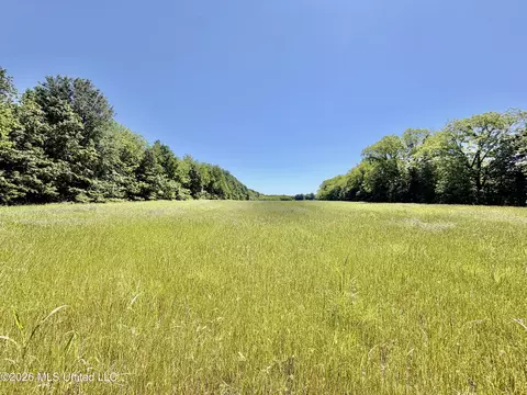 Jenkins Road, Alligator, MS 38720 photo 38