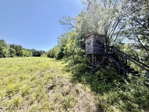 Jenkins Road, Alligator, MS 38720 photo 32