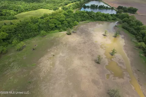 Jenkins Road, Alligator, MS 38720 photo 23
