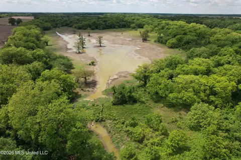 Jenkins Road, Alligator, MS 38720 photo 2
