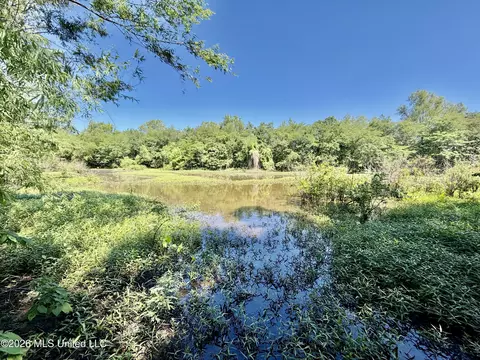 Jenkins Road, Alligator, MS 38720 photo 31