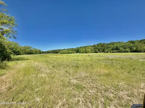 Jenkins Road, Alligator, MS 38720 photo 29