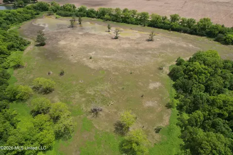 Jenkins Road, Alligator, MS 38720 photo 6