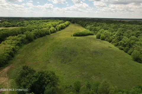 Jenkins Road, Alligator, MS 38720 photo 11