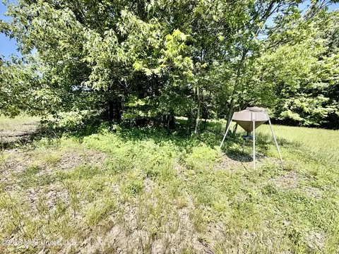 Jenkins Road, Alligator, MS 38720 photo 39