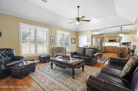 Other - 2830 S Manning Cir, Nesbit, MS 38651 photo 3 of 13