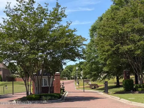 Other - 2830 S Manning Cir, Nesbit, MS 38651 photo 14 of 14