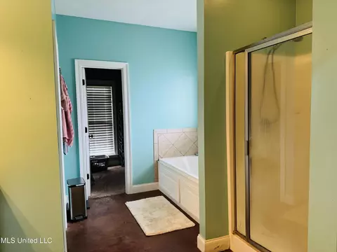 Bath - 8 Audubon Pl, Natchez, MS 39120 photo 2 of 6