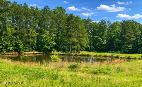 Niki Lane, Pelahatchie, MS 39145