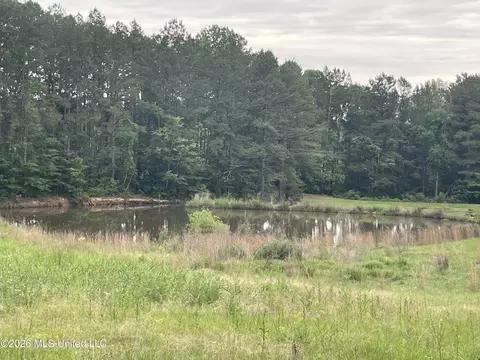 Niki Lane, Pelahatchie, MS 39145