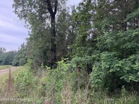 tbd Hall Rd, Natchez, MS 39120 photo 3