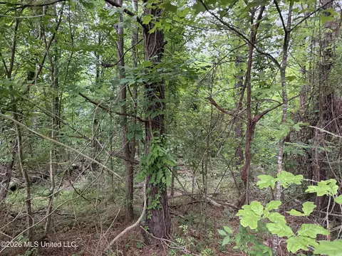 tbd Hall Rd, Natchez, MS 39120 photo 4