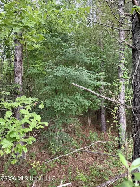 tbd Hall Rd, Natchez, MS 39120 photo 5