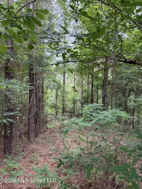 tbd Hall Rd, Natchez, MS 39120
