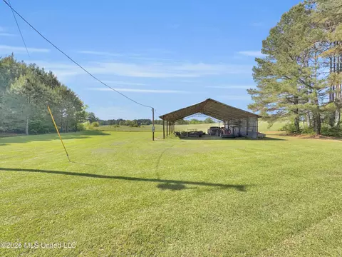 394 Risher Rd, Carthage, MS 39051 photo 3
