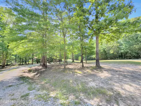 394 Risher Rd, Carthage, MS 39051 photo 9
