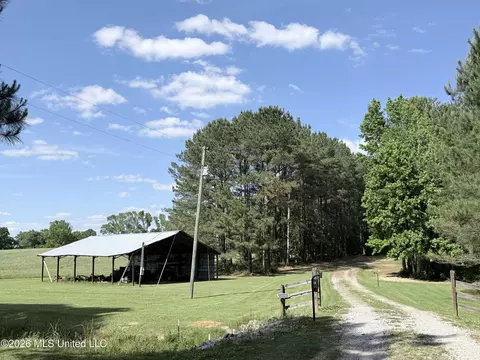 394 Risher Rd, Carthage, MS 39051 photo 2