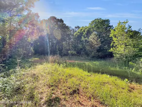0 Risher, Carthage, MS 39051 photo 2