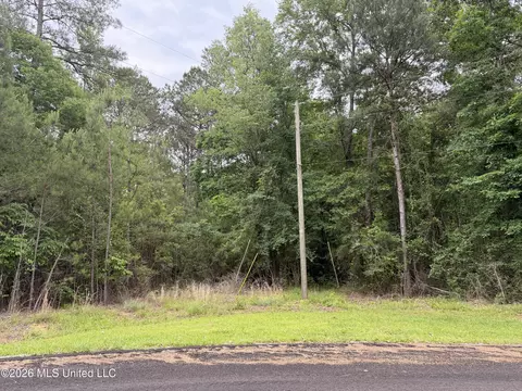 Claudette Ln, Mccomb, MS 39648 photo 3