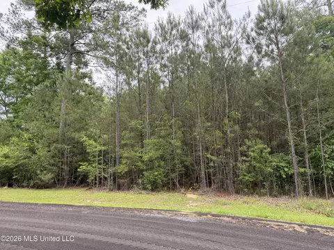Claudette Ln, Mccomb, MS 39648 photo 2