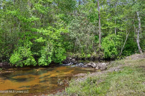 Other - 161 Air Ranch Rd, Lucedale, MS 39452 photo 8 of 10
