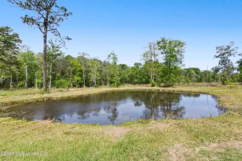 Other - 161 Air Ranch Rd, Lucedale, MS 39452 photo 9 of 10