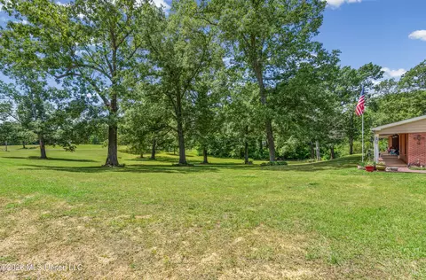 Exterior - 6759 Trinity Dr, Hernando, MS 38632 photo 4 of 8