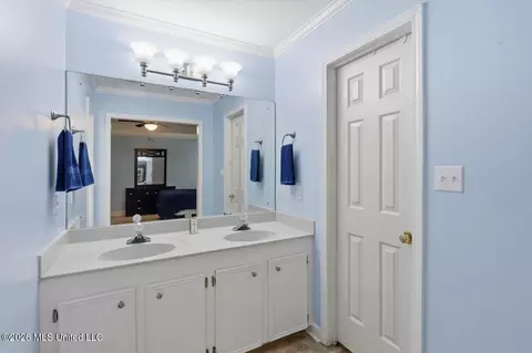 Bath - 602 Treeline Dr, Brandon, MS 39042 photo 1 of 3