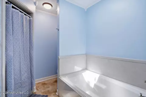 Bath - 602 Treeline Dr, Brandon, MS 39042 photo 2 of 3