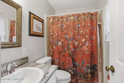 Bath - 221 Saint Augustine Dr, Madison, MS 39110 photo 3 of 3